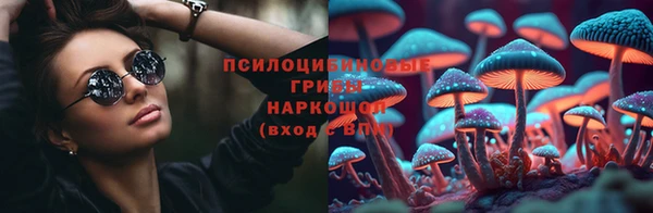 шишки Богородицк