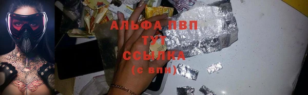 PSILOCYBIN Ладушкин