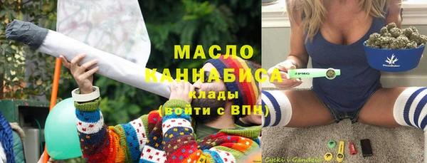 хмурый Пересвет
