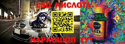 ПСИЛОЦИБИНОВЫЕ ГРИБЫ Гатчина
