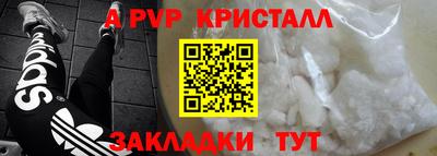 эйфоретик Гай