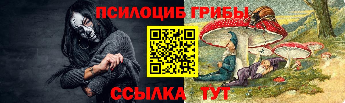 Галлюциногенные грибы Magic Shrooms Новороссийск